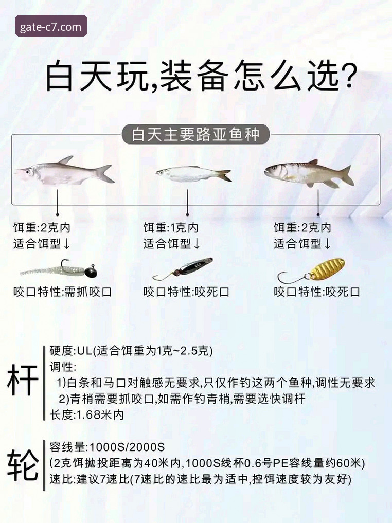 深度揭秘C7娱乐官网安全通道攻略：如何避开钓鱼陷阱，找到真正入口